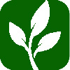 Grow Grow